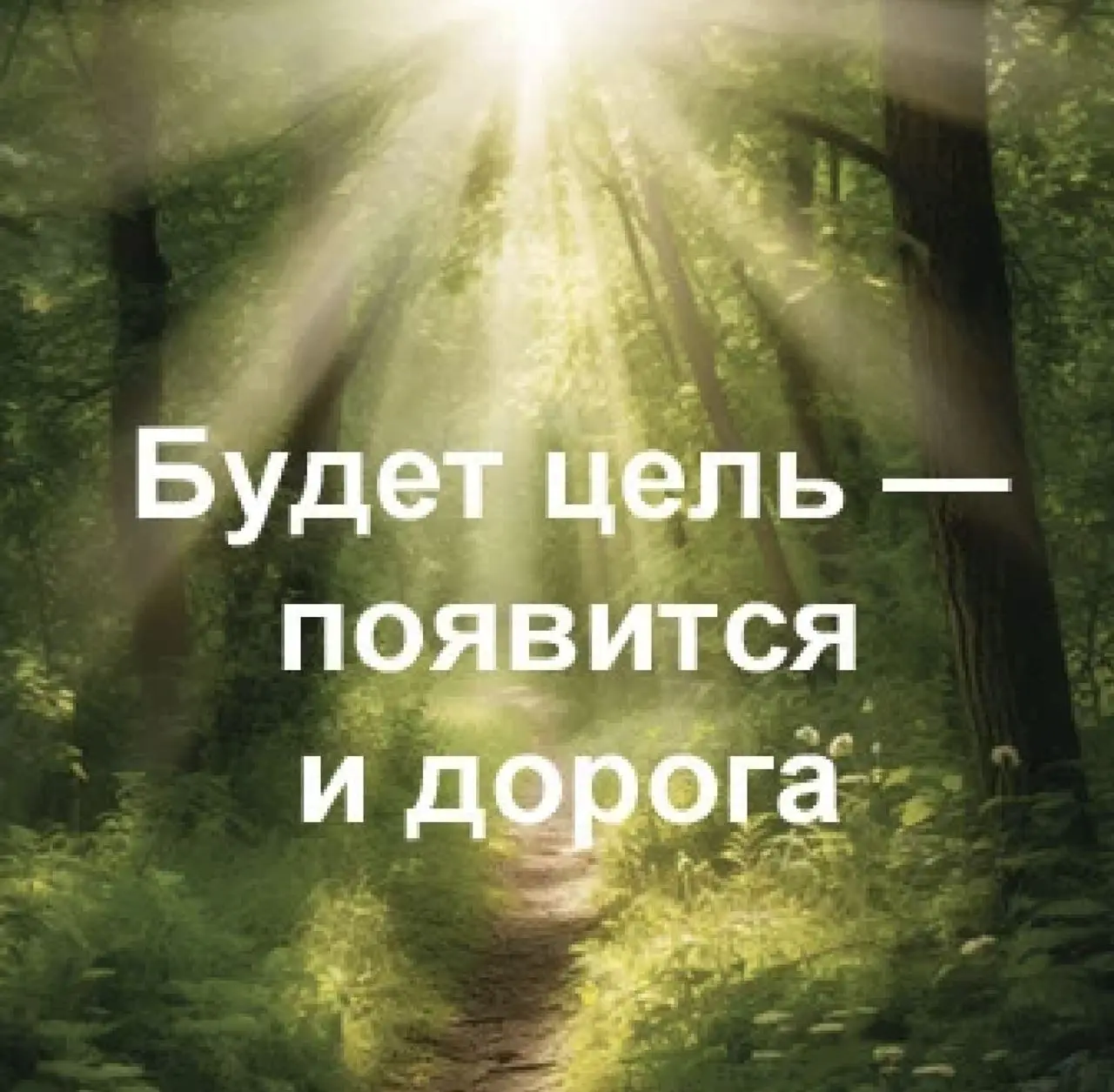 Рисунок 11. Мотиватор «Будет цель - появится и дорога»